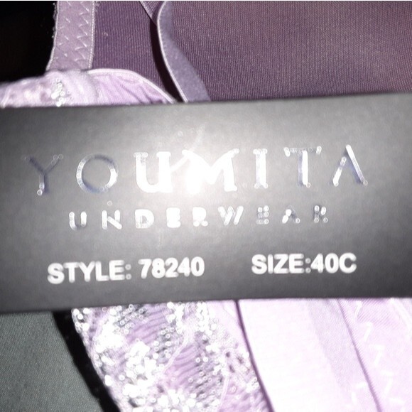 Youmita 40C Lavender Mist Metallic Lace Bra & XL Coordinating Boyshort NWT - Picture 11 of 12